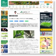 ミカン枝食べたメスは嫌い ゴマダラカミキリの新たな防除技術 – 農業協同組合新聞