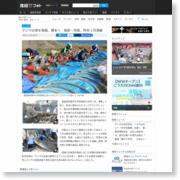 クジラの骨を発掘、標本へ 徳島・阿南、昨年１月漂着 – 産経ニュース