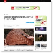 ３億年前の脊椎動物の足跡発見、米グランドキャニオンで最古