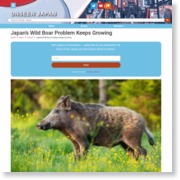 Japan’s Wild Boar Problem Keeps Growing – Unseen Japan