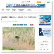 《加藤百合子の農業ロボット元年#02》アイガモが除草をする日 – ニュースイッチ Newswitch
