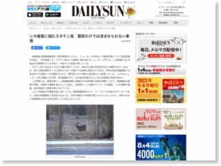 シカ被害に悩むスタテン島 駆除だけでは済ませられない事情 – bi Daily Sun New York