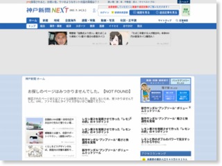 コウノトリにも春の嵐被害 豊岡で巣飛ばされる – 神戸新聞