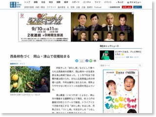 西条柿色づく 岡山・津山で収穫始まる – 産経ニュース