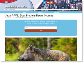 Japan’s Wild Boar Problem Keeps Growing – Unseen Japan