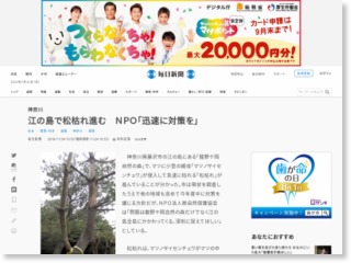 神奈川：江の島で松枯れ進む ＮＰＯ「迅速に対策を」 – 毎日新聞 – 毎日新聞