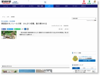 興居島のモノレール寸断 かんきつ収穫、動力奪われる – 愛媛新聞