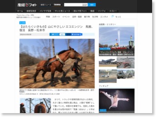 【はたらくいきもの】山にやさしい エコエンジン 馬搬、復活 長野・松本市 – 産経ニュース